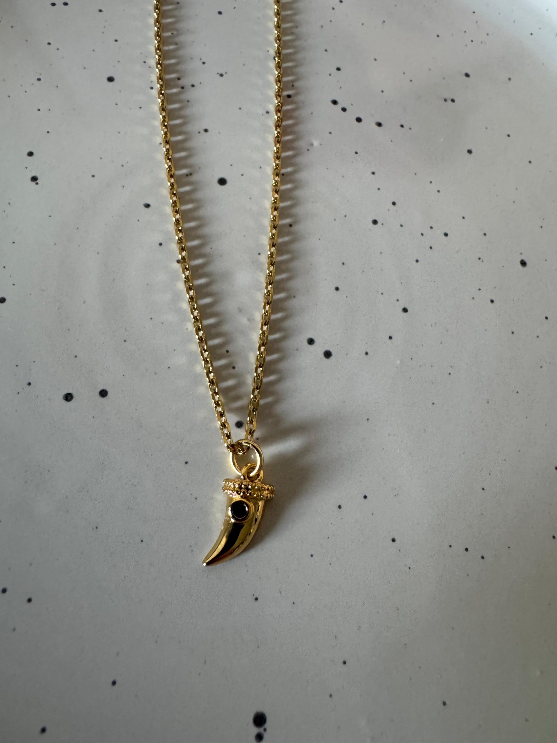 WhatsApp Image 2025-03-19 at 10.54.19