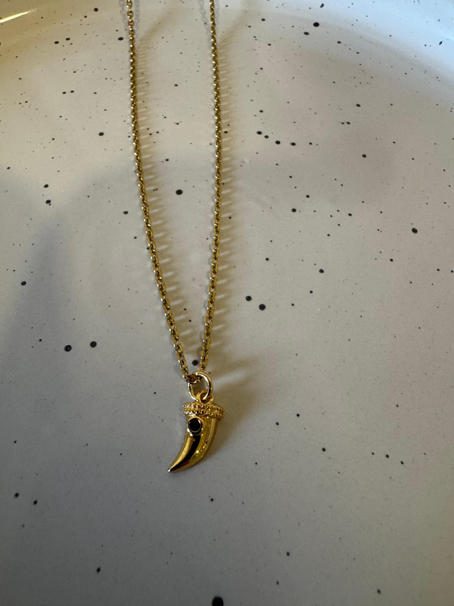 WhatsApp Image 2025-03-19 at 10.54.25