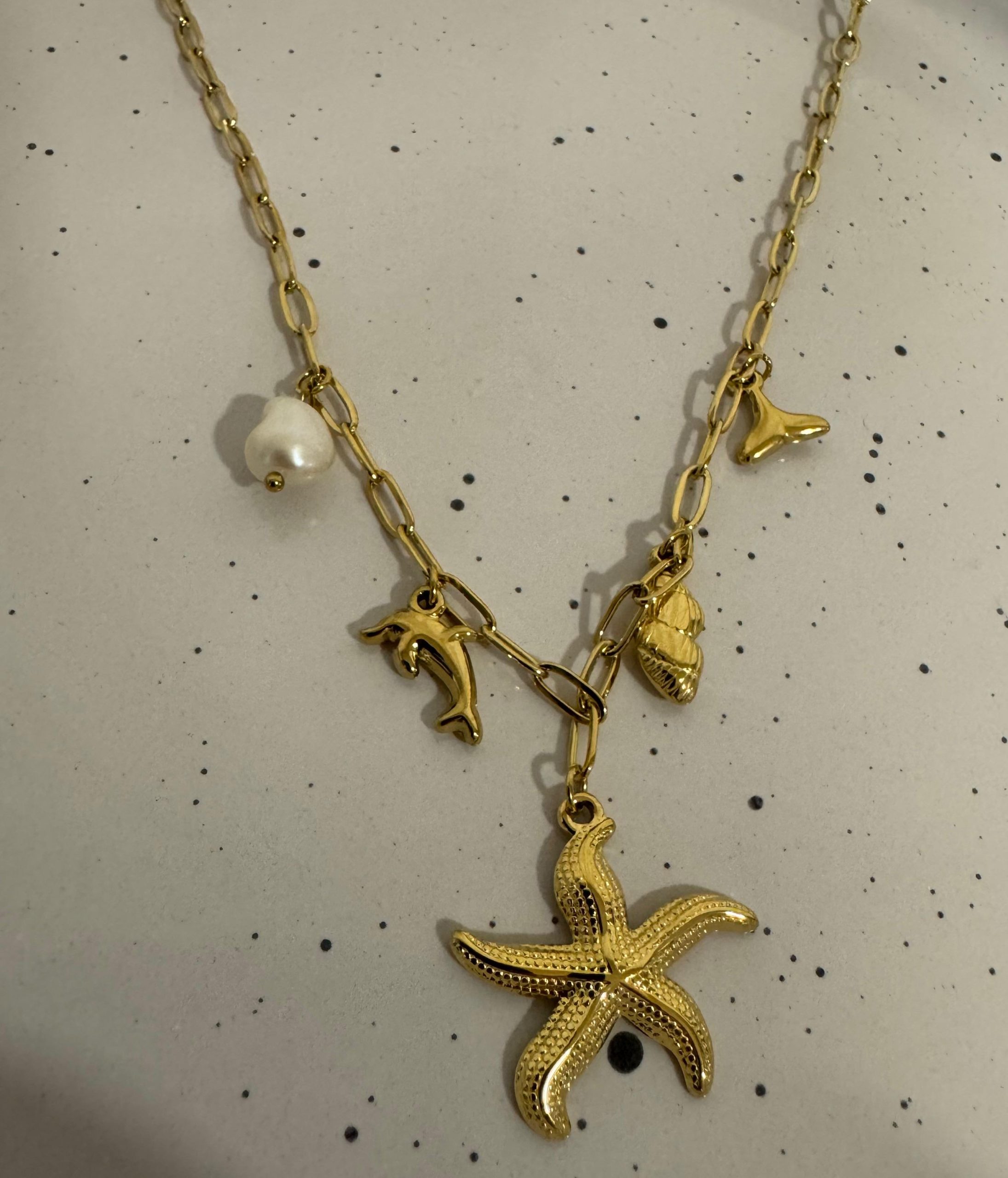 WhatsApp Image 2025-04-16 at 18.35.23