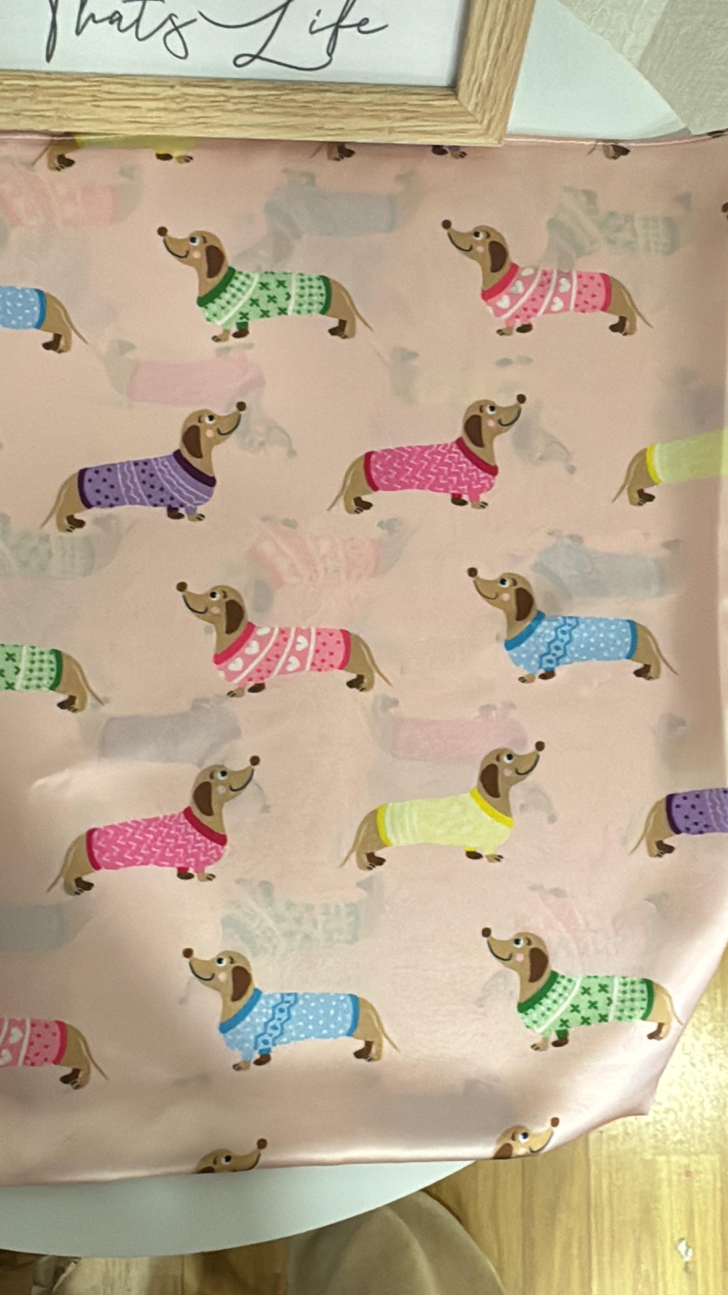 WhatsApp Image 2025-04-30 at 17.16.43