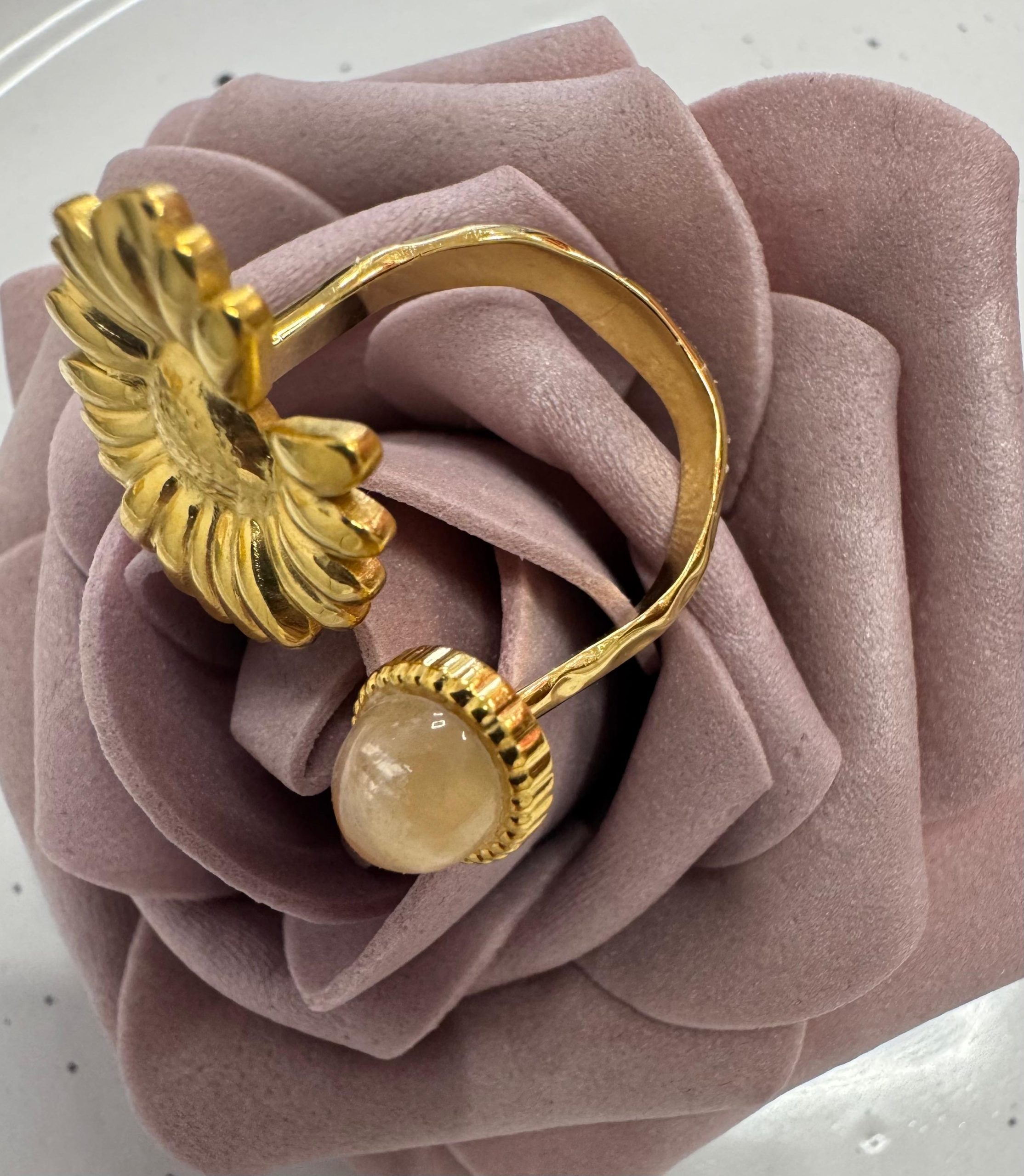 WhatsApp Image 2025-10-03 at 11.23.03 (1)